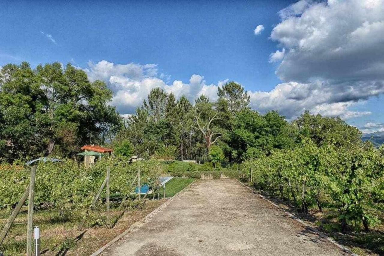 סלוריקו דה באשטו Casa Da Boavista Camelias De Bastoturismo Rural מראה חיצוני תמונה