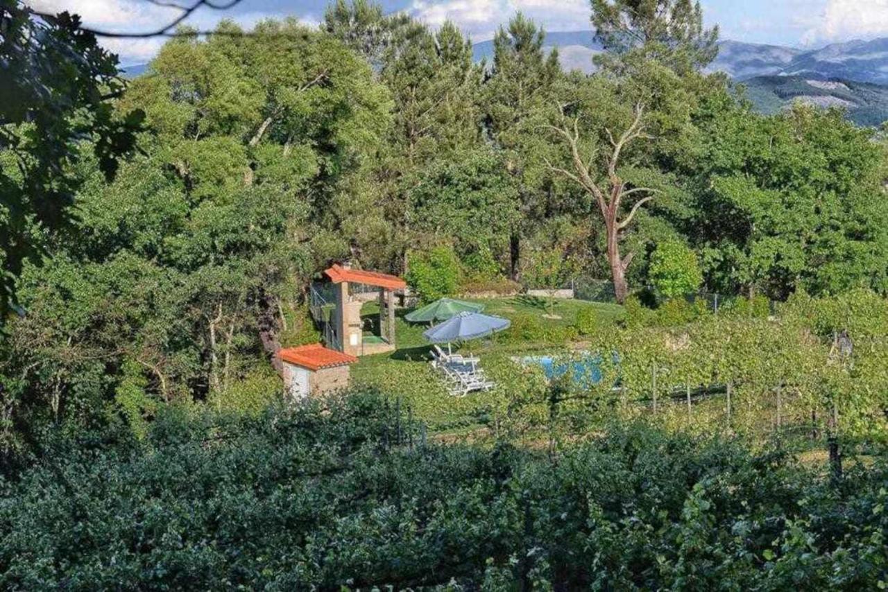 סלוריקו דה באשטו Casa Da Boavista Camelias De Bastoturismo Rural מראה חיצוני תמונה